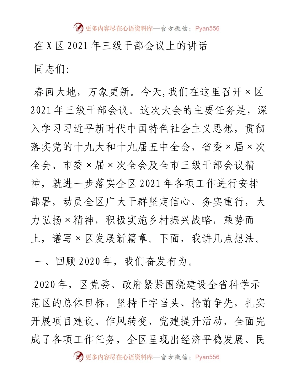 0301在X区三级干部会议上的讲话.docx_第1页