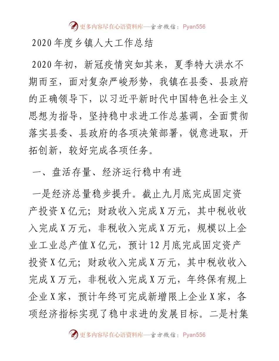 -度乡镇人大工作总结.docx_第1页