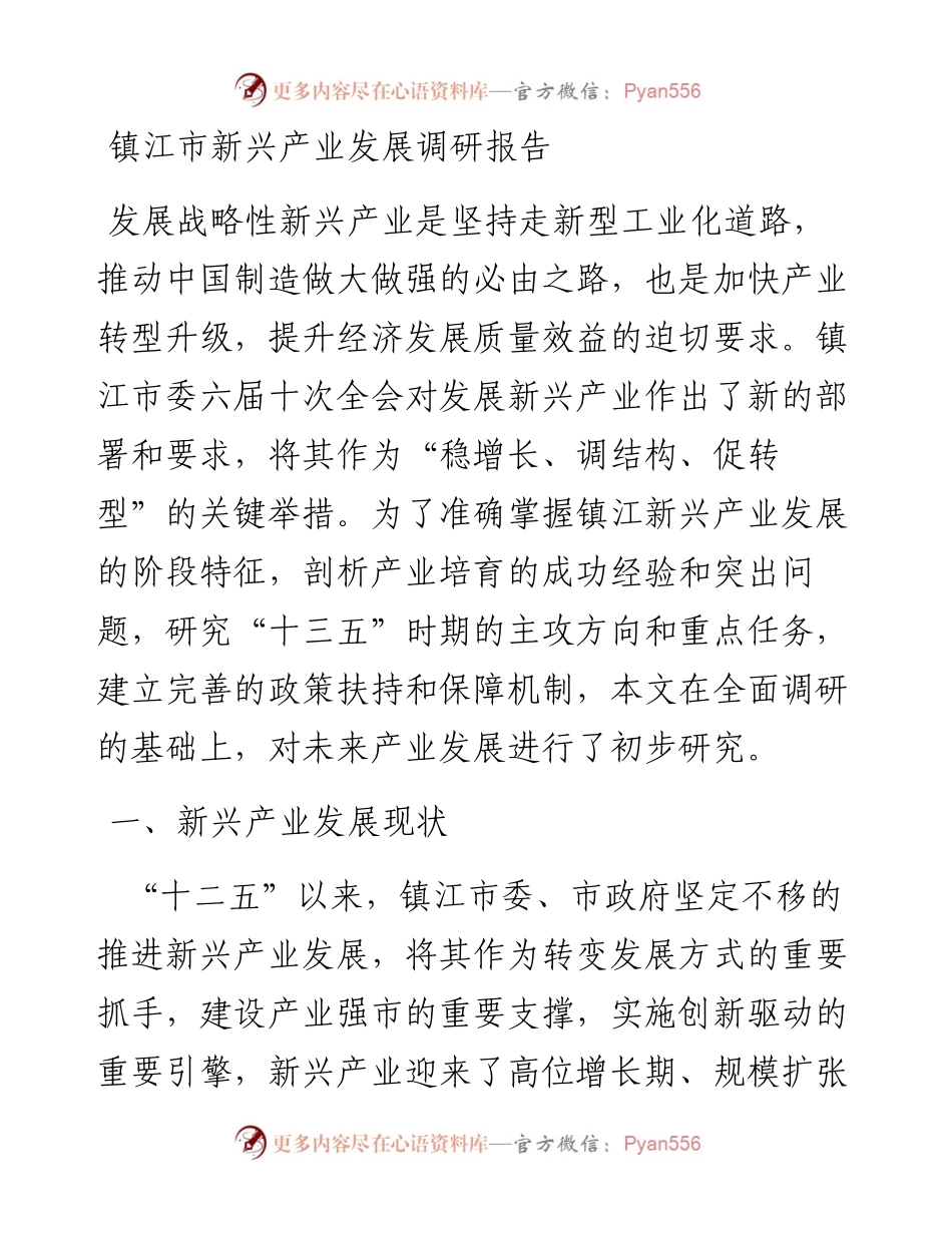 04-镇江市新兴产业发展调研报告.docx_第1页