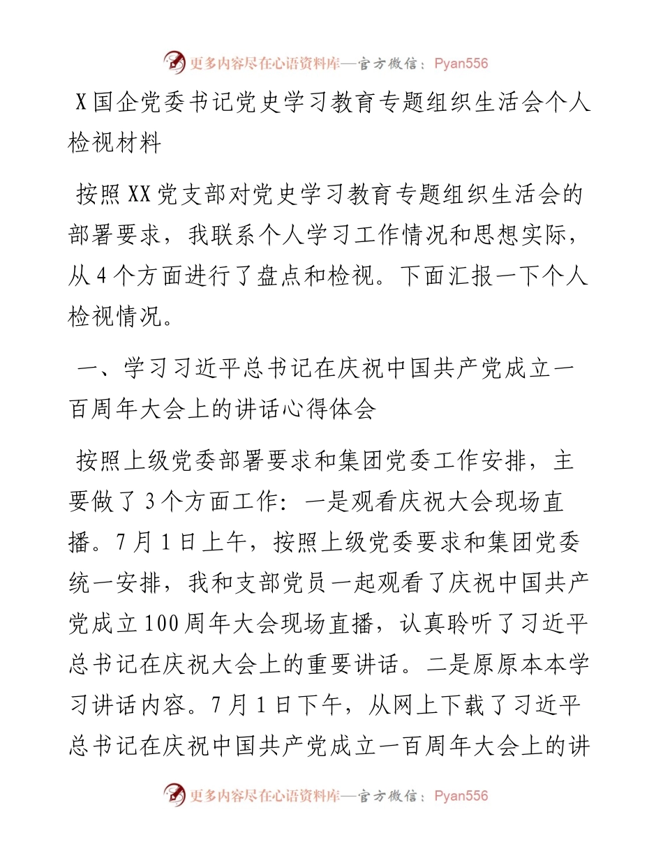 0801X国企党委书记党史学习教育专题组织生活会个人检视材料.docx_第1页