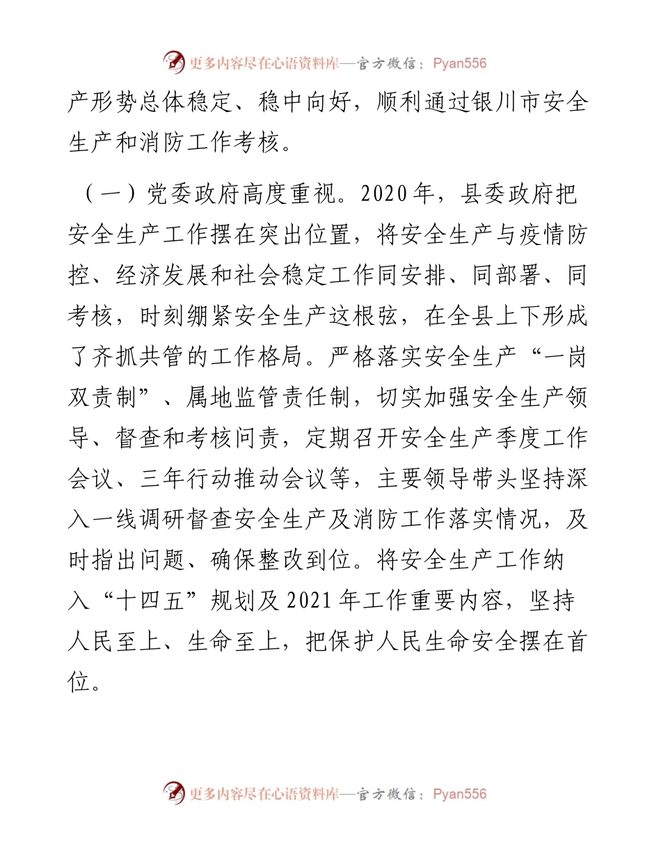 0210在全县安全生产工作会议暨安委会第一次会议上的讲话.docx_第2页
