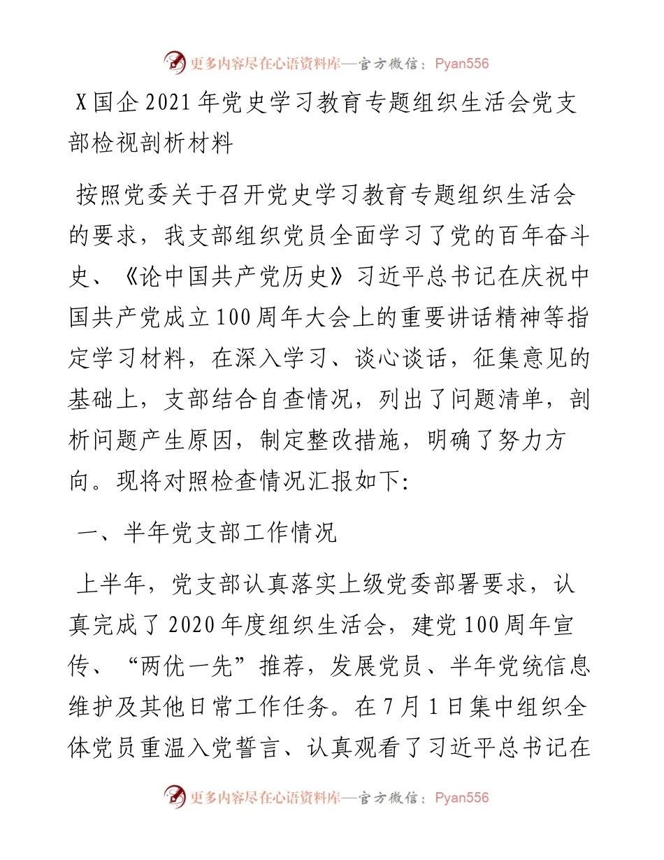 0807X国企党史学习教育专题组织生活会党支部检视剖析材料.docx_第1页