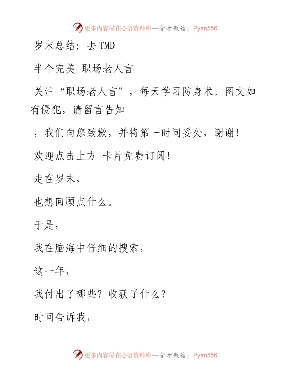 -12-31 岁末总结：去TMD.docx_第1页