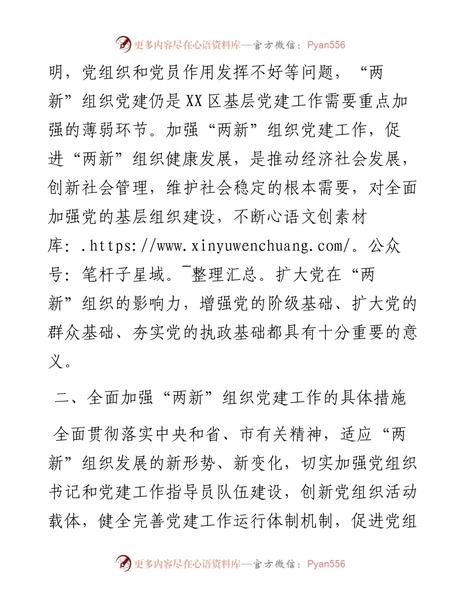 030106两新组织党建方案.docx_第2页