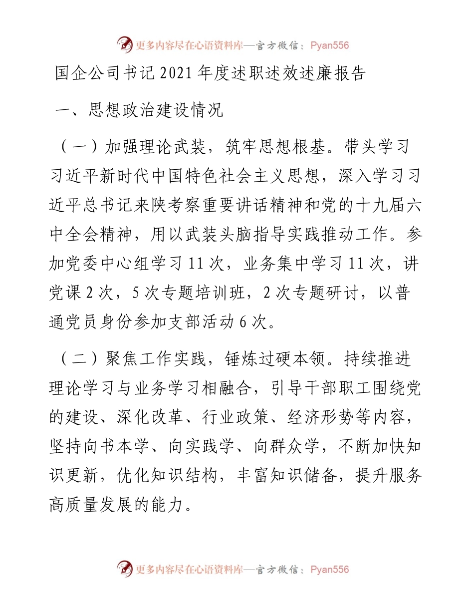 013113：国企公司书记度述职述效述廉报告.docx_第1页