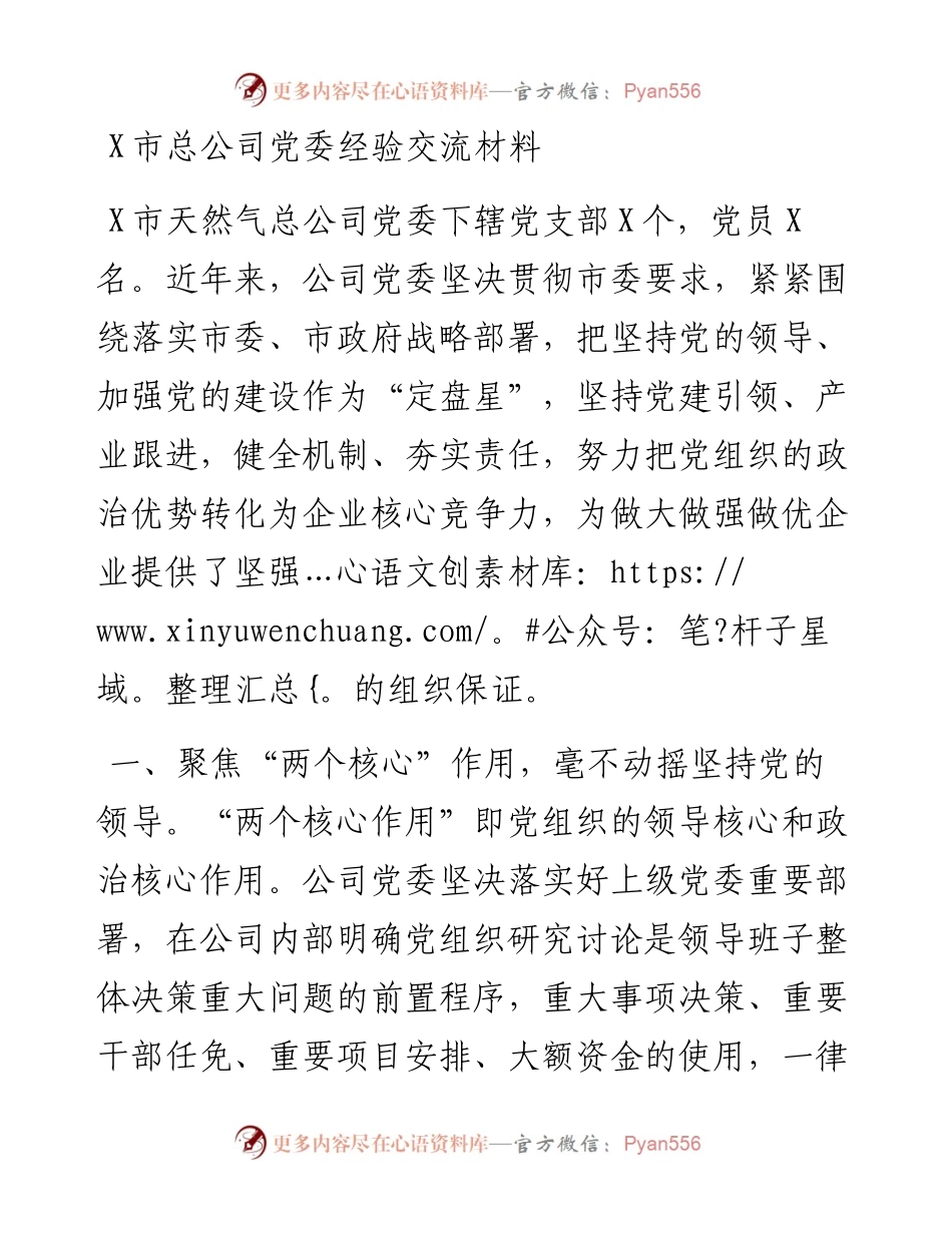 0214X市总公司党委经验交流材料.docx_第1页