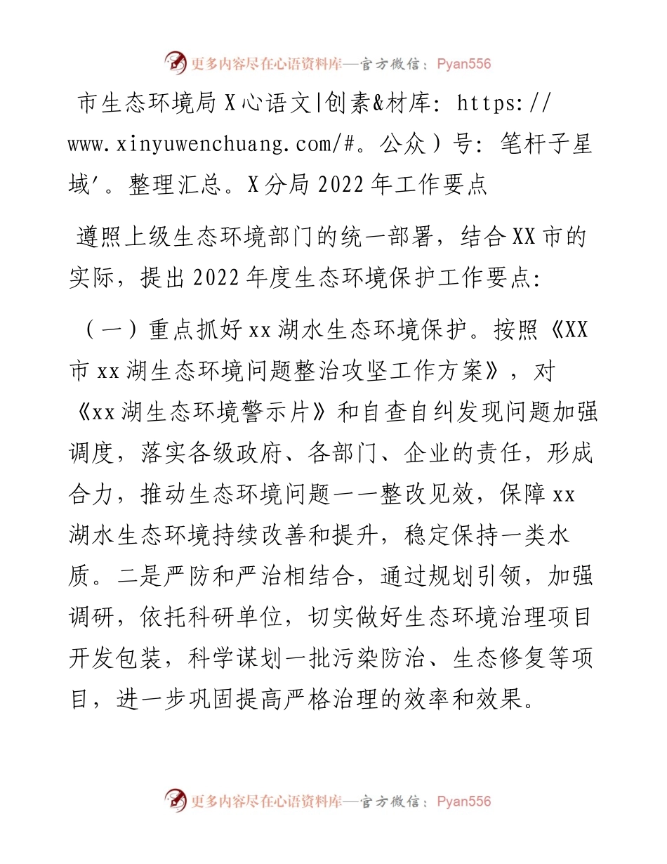 021719：市生态环境局XX分局工作要点.docx_第1页