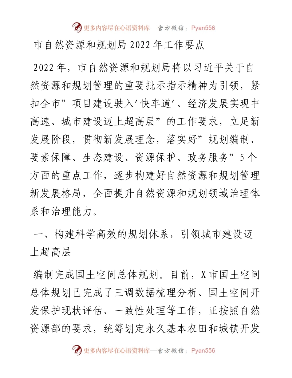 012025：市自然资源和规划局工作要点.docx_第1页