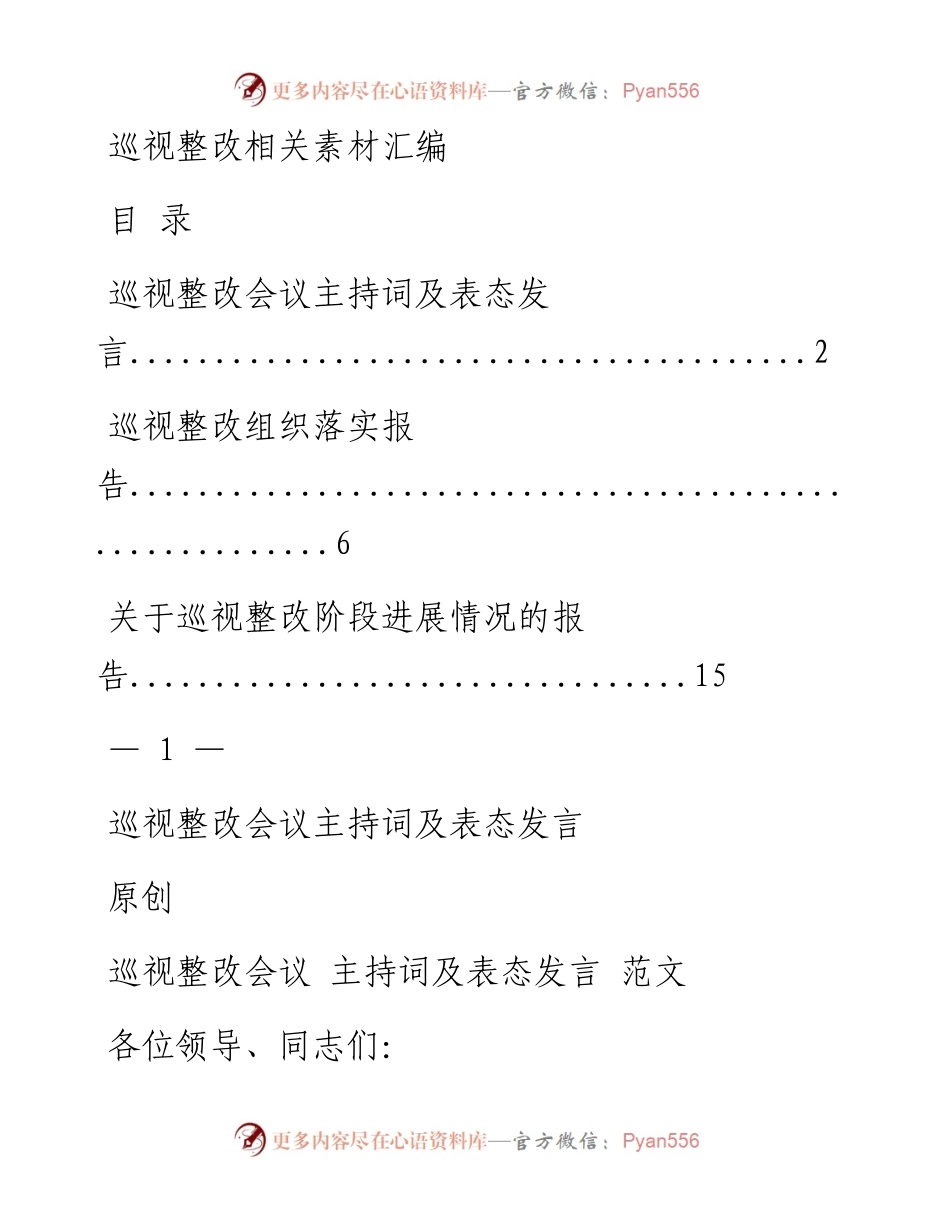 0305最全！巡视整改主持词及表态发言 组织落实报告 整改进展情况报告（原创范文，3篇1.6万字，仅供学习，请勿抄袭）.docx_第1页