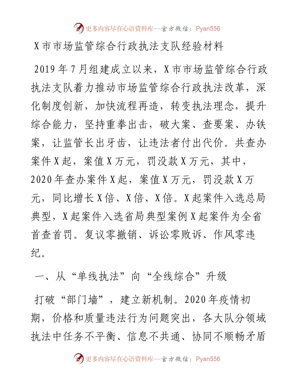 0508X市市场监管综合行政执法支队经验材料.docx_第1页