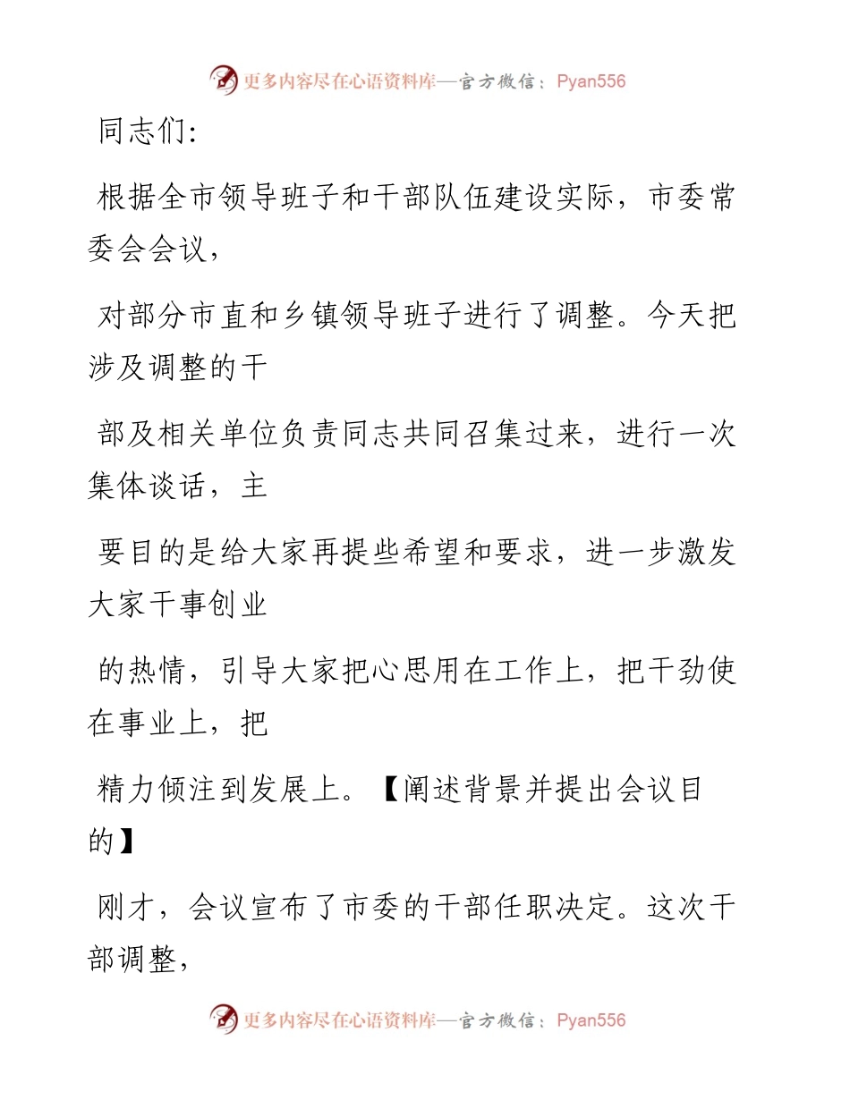 0306最优！新调整干部集体谈话会议讲话4篇（原创范文，4篇1.5万字，仅供学习，请勿抄袭）.docx_第2页