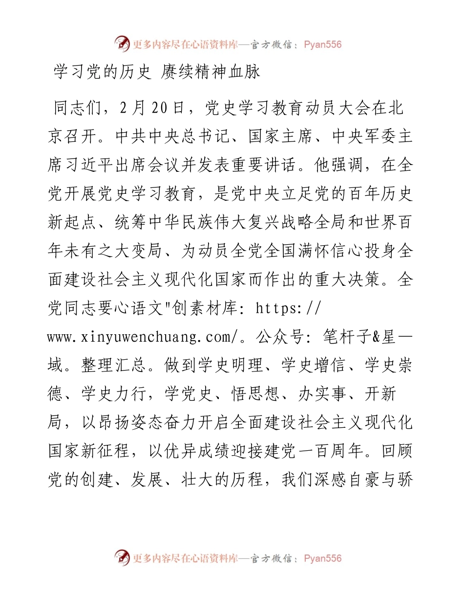 0324党史学习教育专题党课学习党的历史 赓续精神血脉.docx_第1页