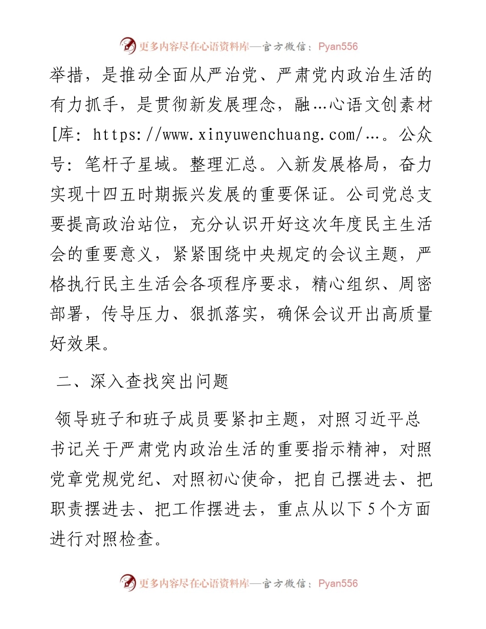 011930：国企党委关于召开度专题民主生活会实施方案（五个带头）.docx_第2页