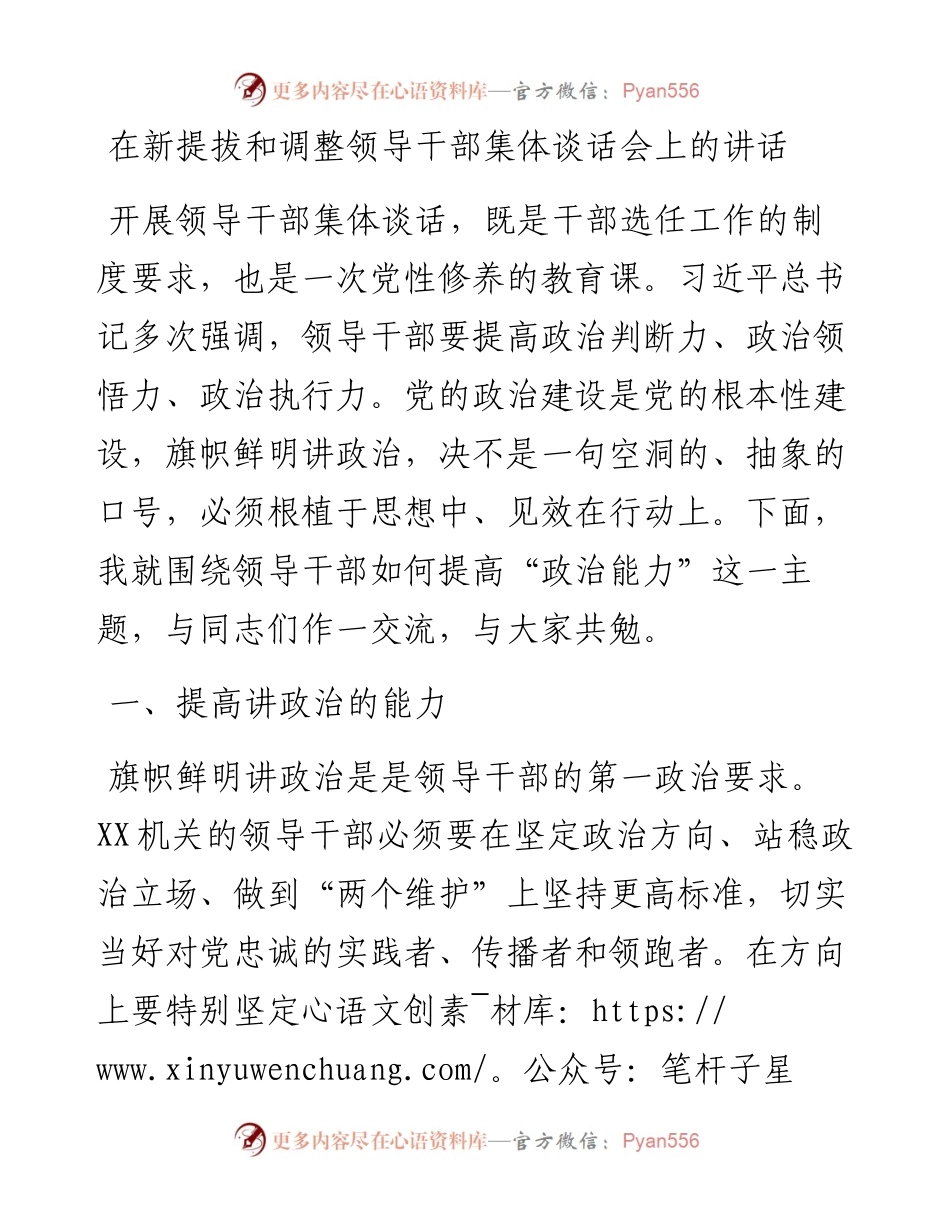 013124：在新提拔和调整领导干部集体谈话会上的讲话.docx_第1页