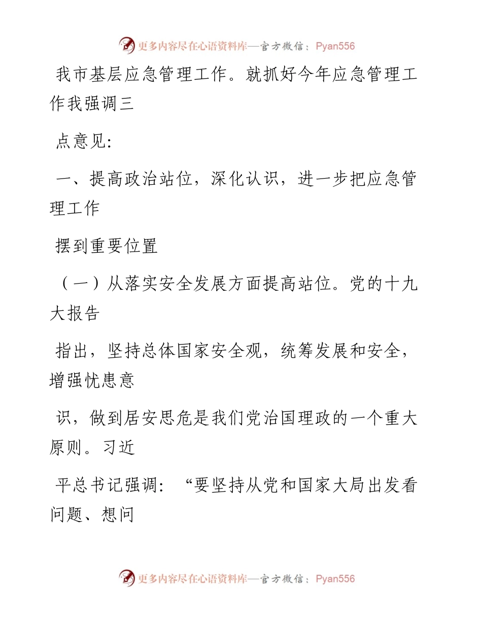 0424在全市应急管理工作会议上的讲话.docx_第2页