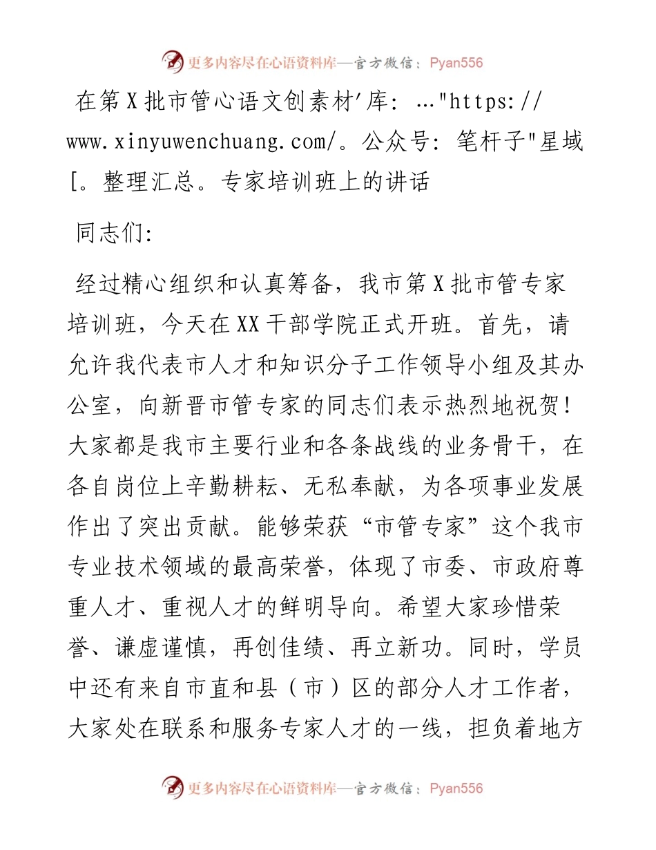 0456在第X批市管专家培训班上的讲话.docx_第1页