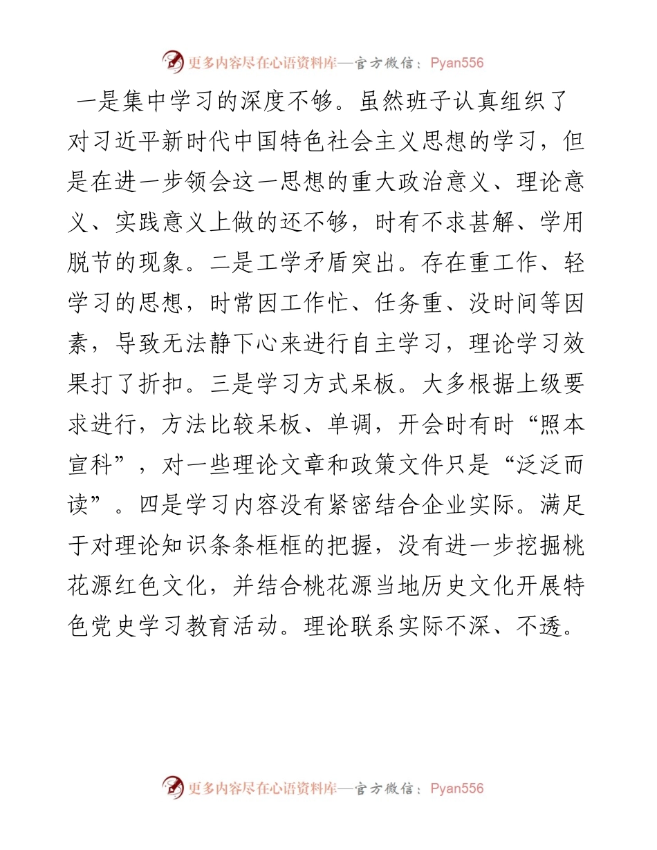 020838：专题民主生活会剖析材料（国企党委委员、副总经理子公司集团董事长）.docx_第2页