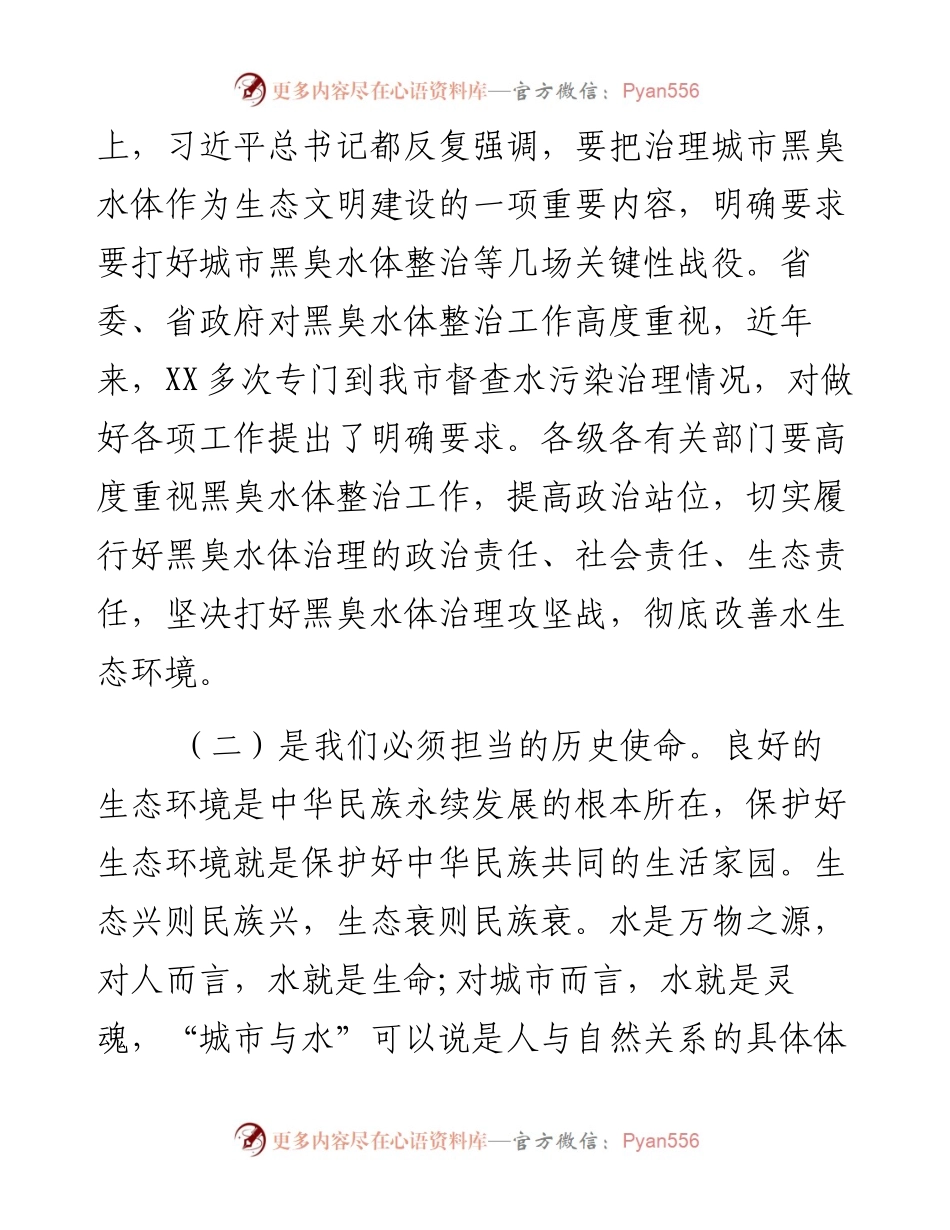 032607在全市黑臭水体整治工作推进会上的讲话.docx_第2页