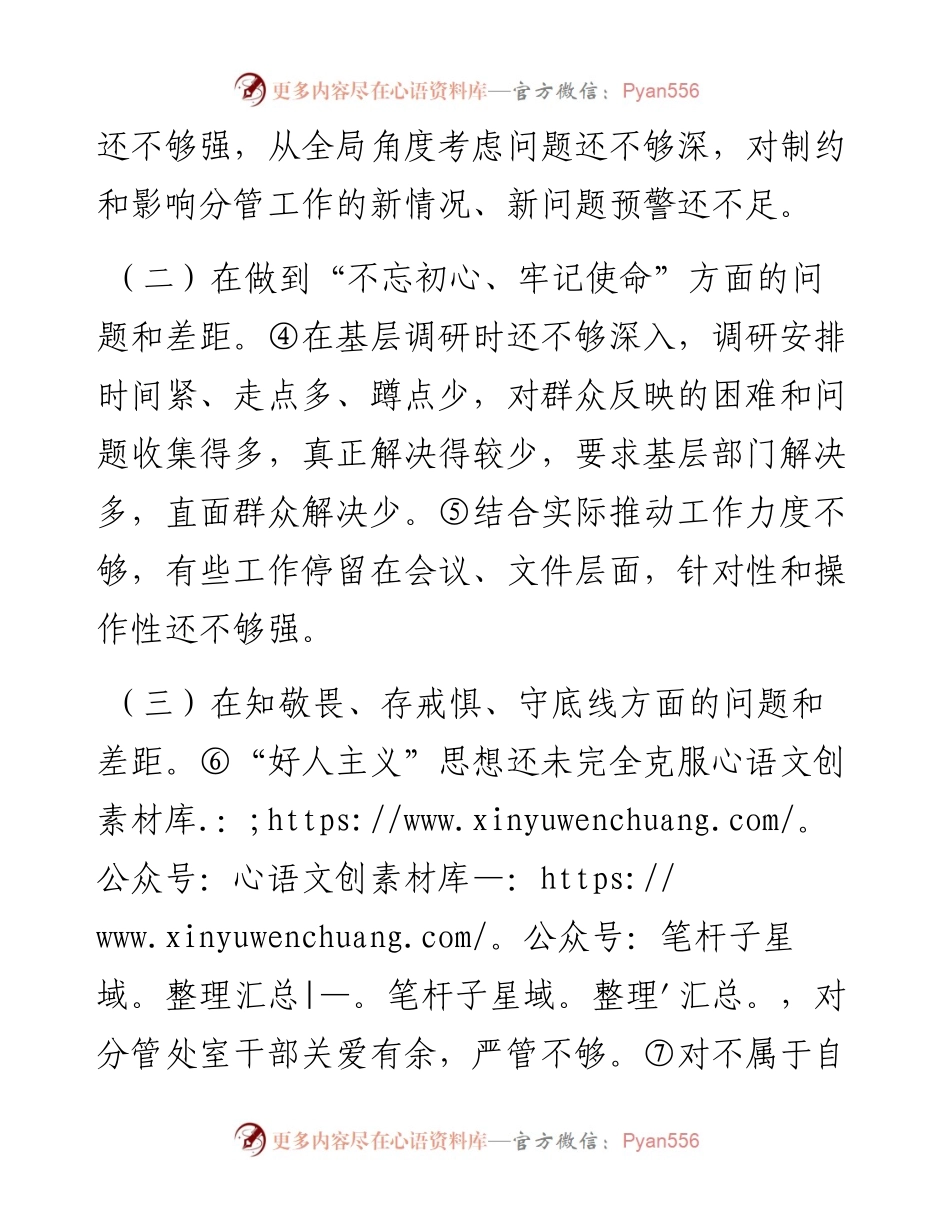 081007领导干部检视问题清单2.docx_第2页