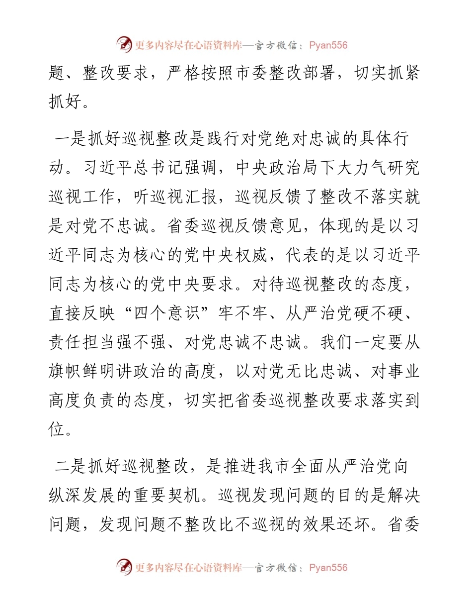 0803在全市推进省委巡视整改工作动员会议上的讲话.docx_第2页