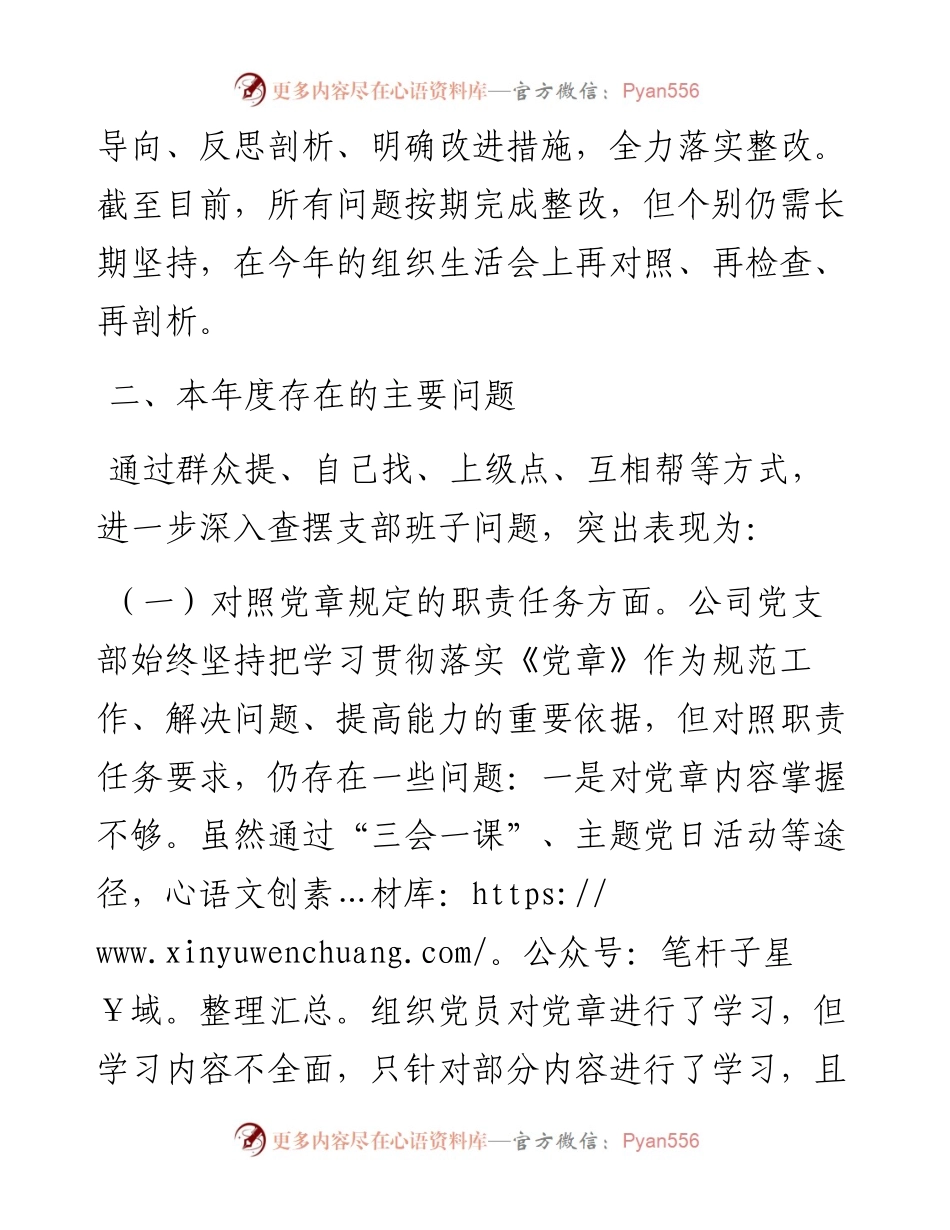 030334：国企度组织生活会支部班子对照检查材料.docx_第2页