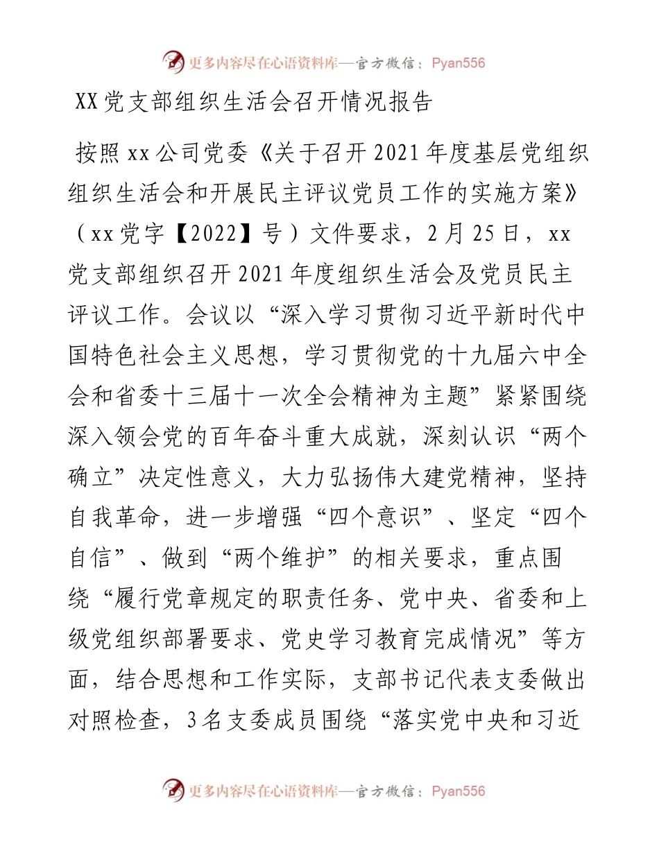 030141：XX党支部组织生活会召开情况报告.docx_第1页