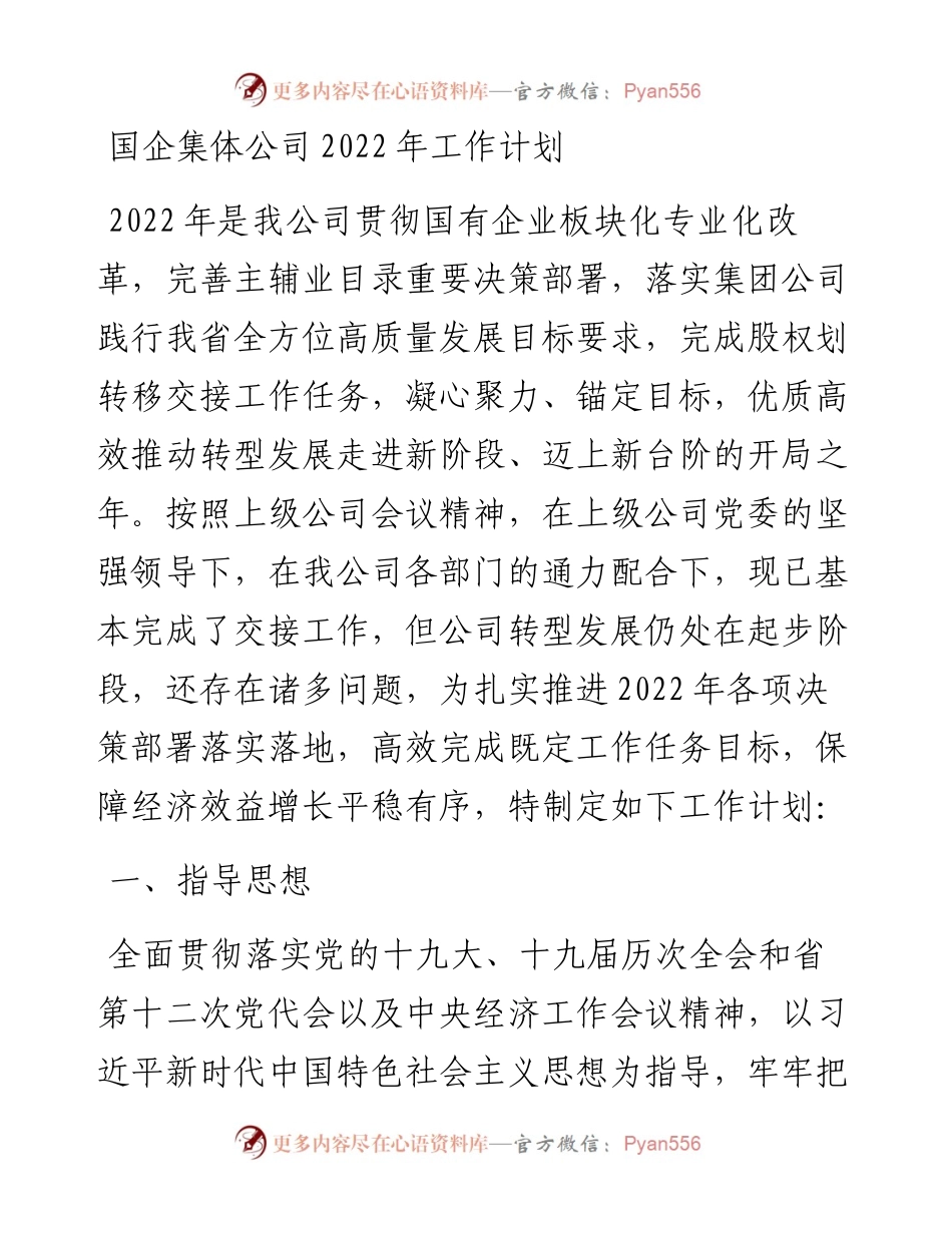 012611：国企集体公司工作计划.docx_第1页