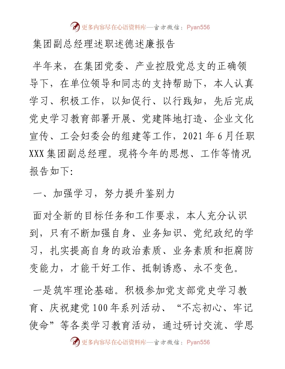 020311：集团副总经理述职述德述廉报告.docx_第1页