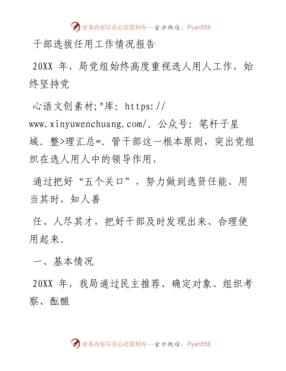 0505笔友分享干部选拔任用工作情况报告2.docx_第1页