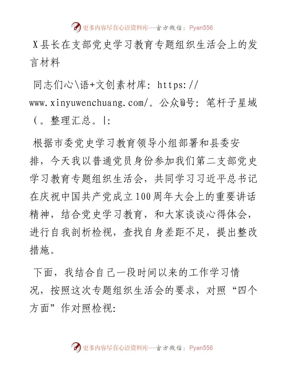 0802X县长在支部党史学习教育专题组织生活会上的发言材料.docx_第1页