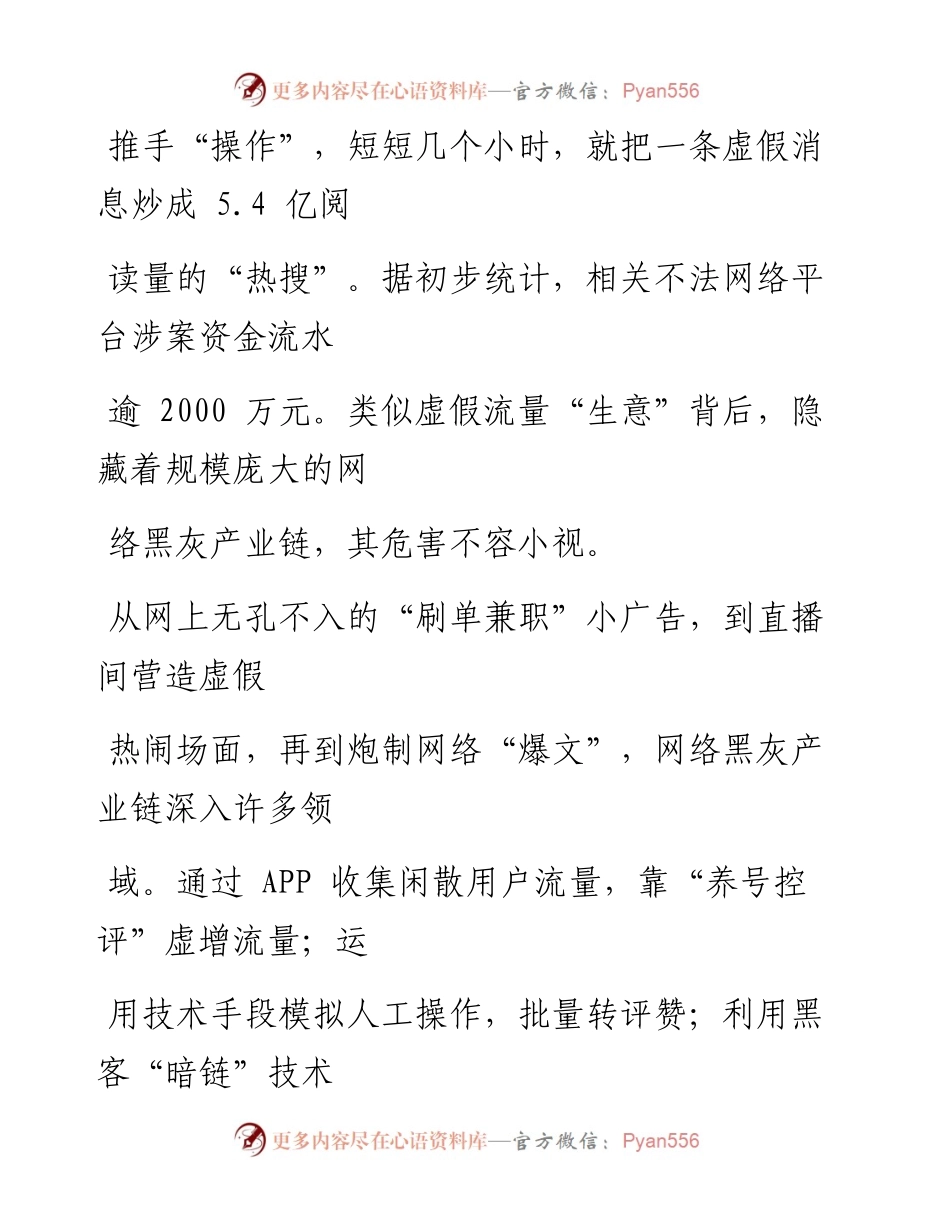0204依法治理网络虚假流量.docx_第2页