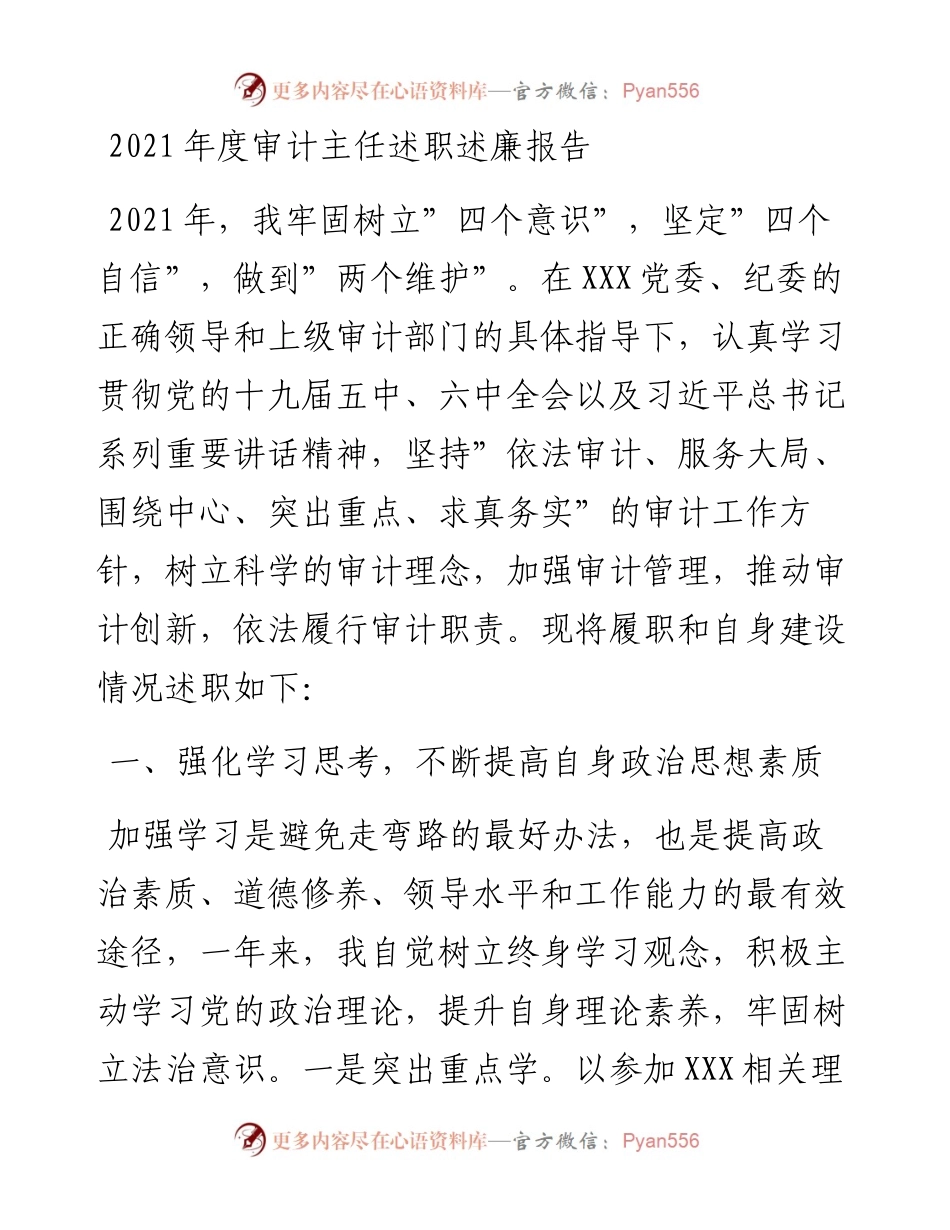 020905：度审计主任述职述廉报告.docx_第1页