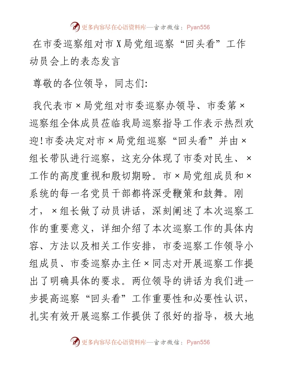 0205在市委巡察组对市X局党组巡察“回头看”工作动员会上的表态发言.docx_第1页
