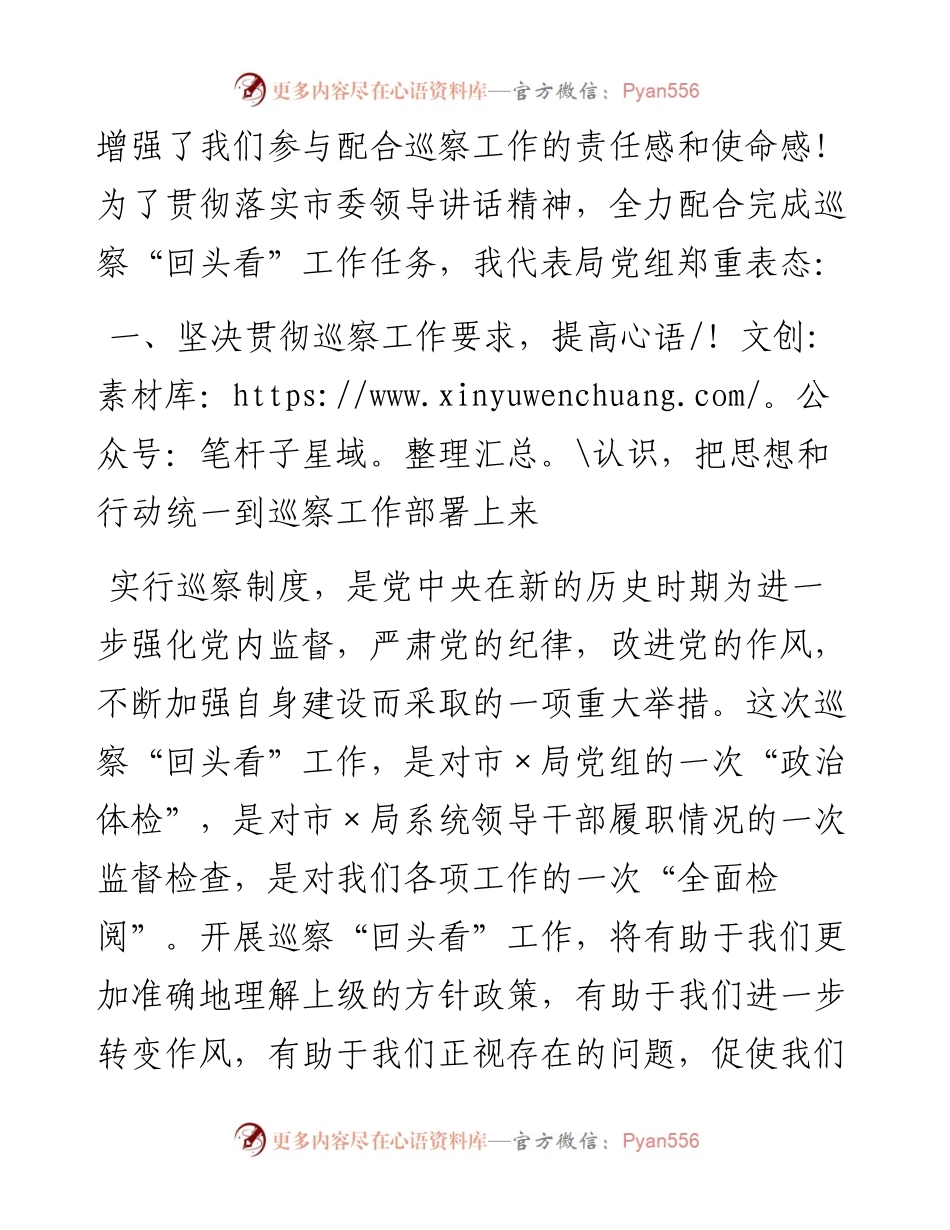 0205在市委巡察组对市X局党组巡察“回头看”工作动员会上的表态发言.docx_第2页