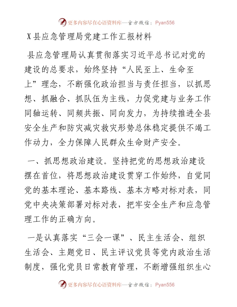 1009X县应急管理局党建工作汇报材料.docx_第1页