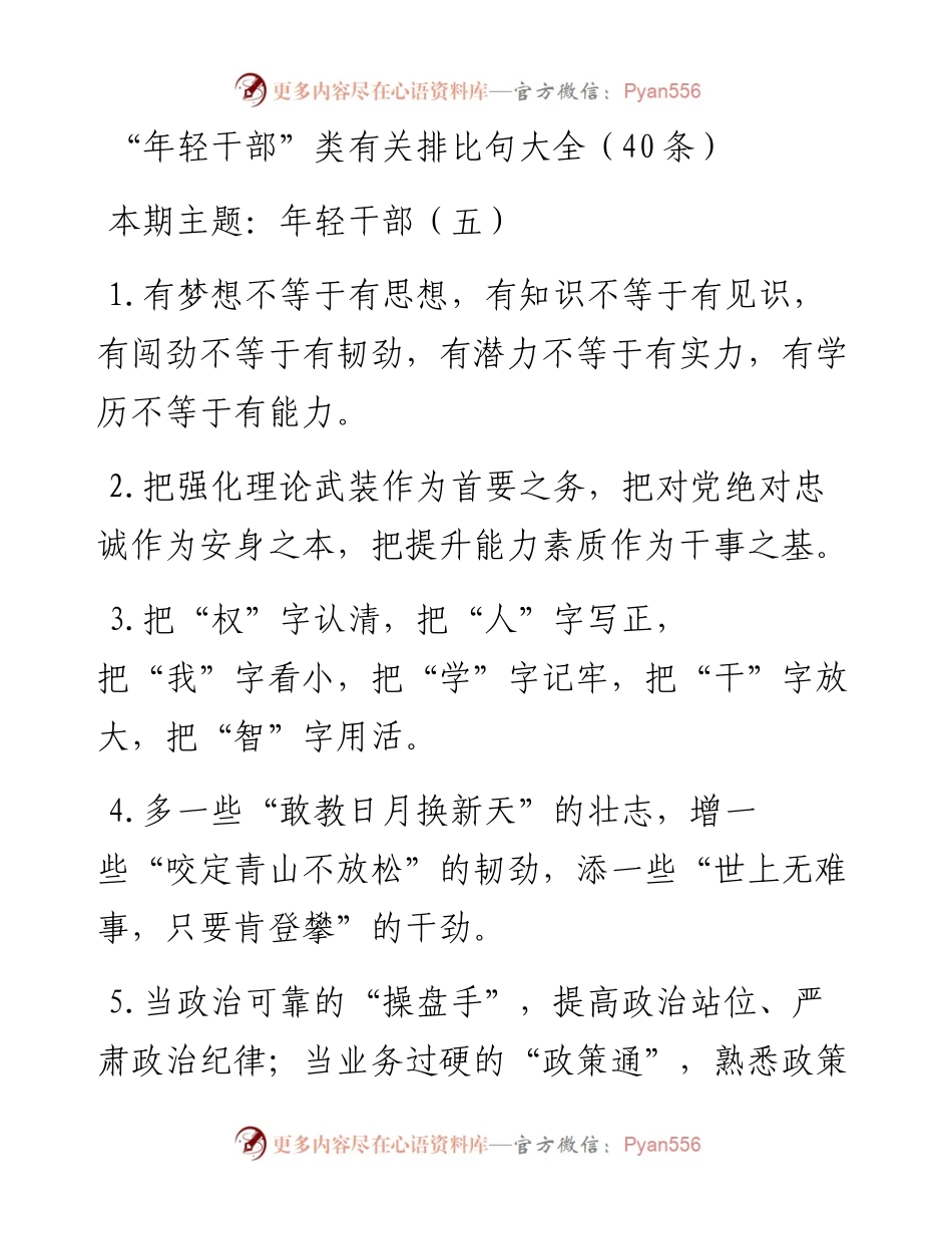 0205“年轻干部”类有关排比句大全（40条）.docx_第1页