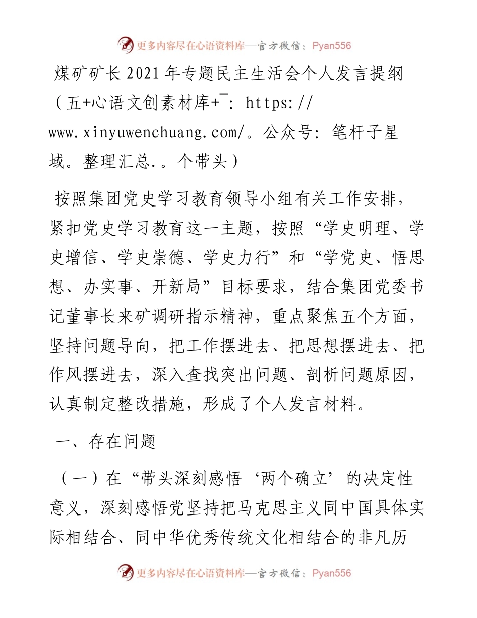 012212：煤矿矿长专题民主生活会个人发言提纲（五个带头）.docx_第1页