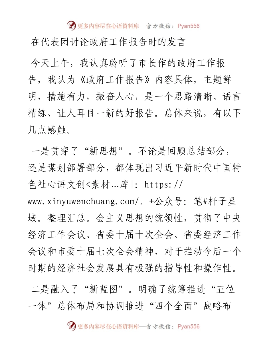 0119在代表团讨论政府工作报告时的发言.docx_第1页