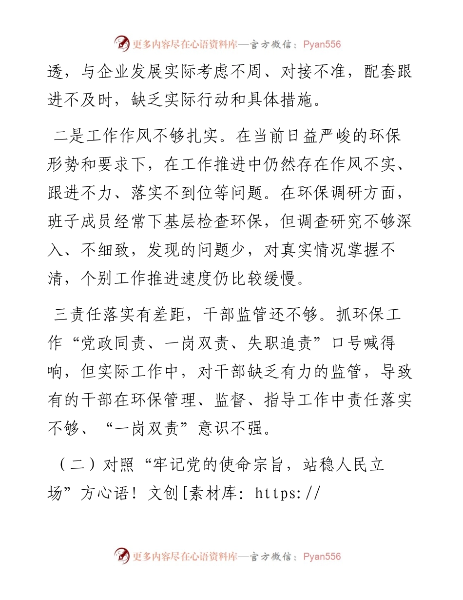 012525：生态环境督察整改专题民主生活会班子对照检查.docx_第2页