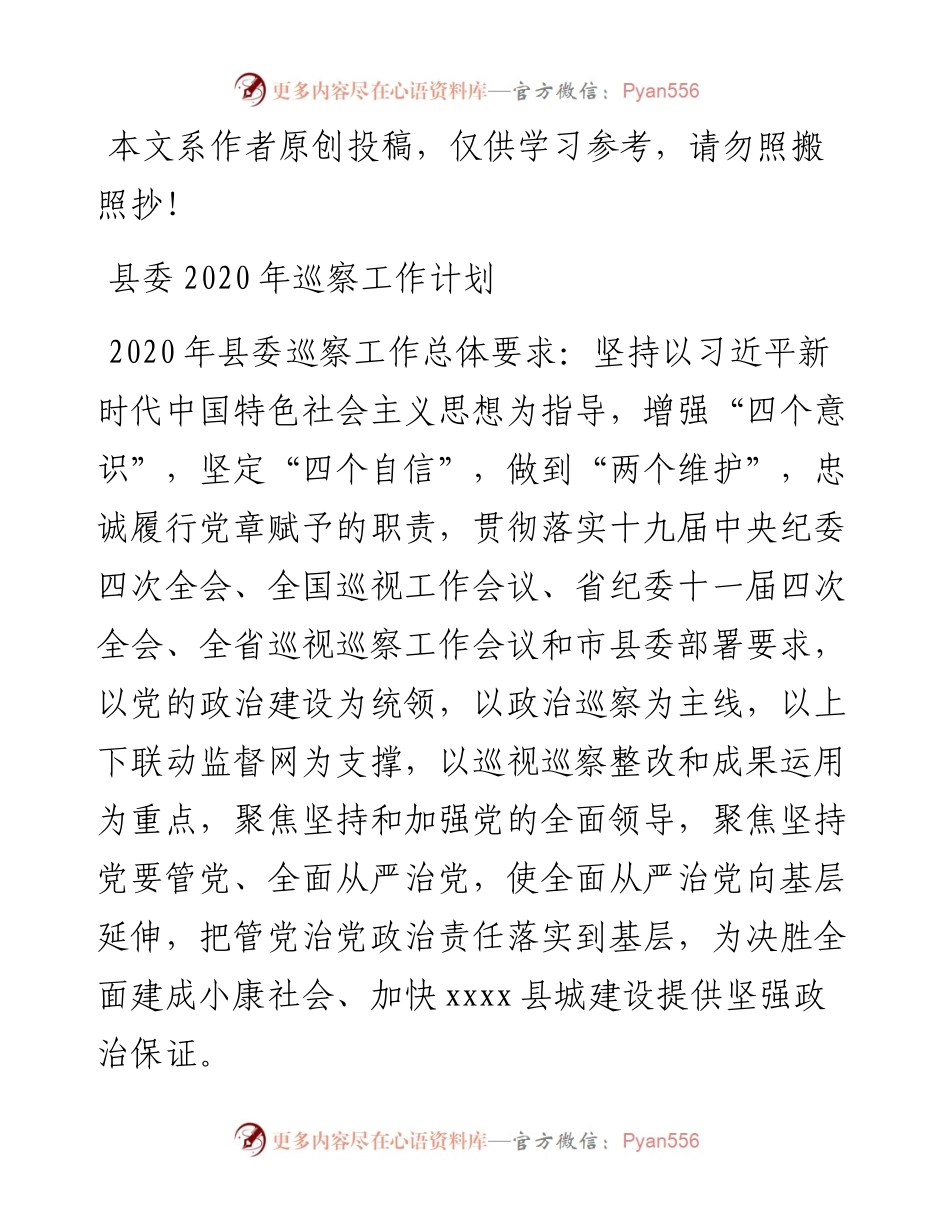022809县委巡察工作计划.docx_第1页