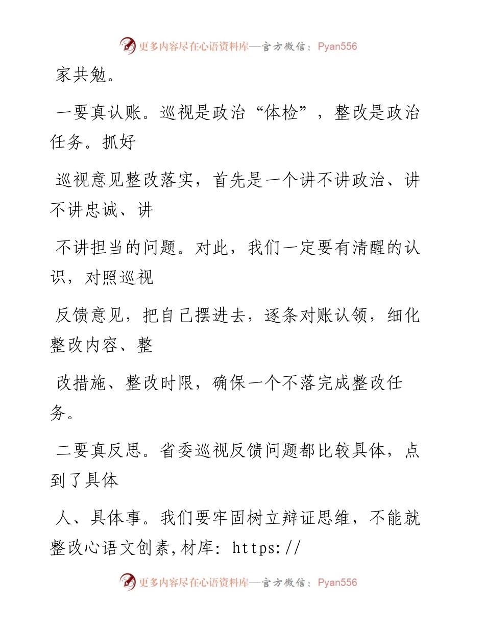 0519笔友分享巡视整改专题民主生活会上的总结.docx_第2页