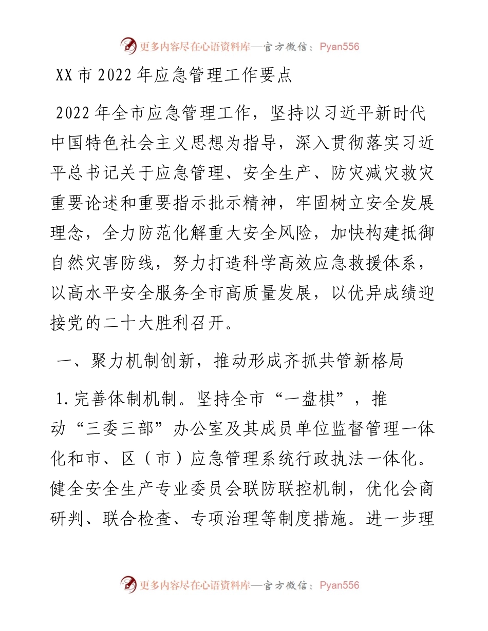 021202：XX市应急管理工作要点.docx_第1页