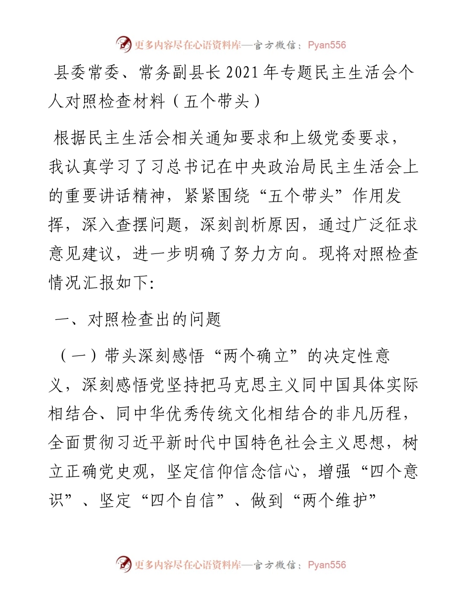 011315：县委常委、常务副县长专题民主生活会个人对照检查材料（五个带头）.docx_第1页