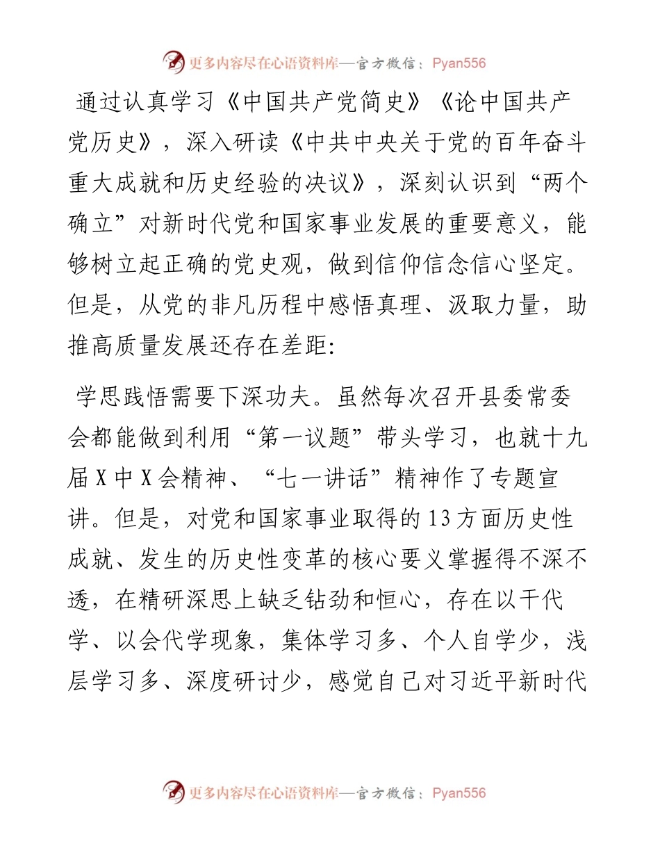 011315：县委常委、常务副县长专题民主生活会个人对照检查材料（五个带头）.docx_第2页