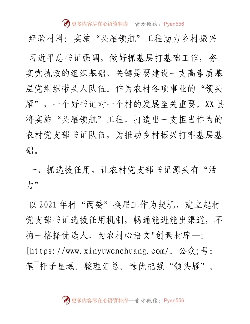 0403经验材料：实施“头雁领航”工程助力乡村振兴.docx_第1页