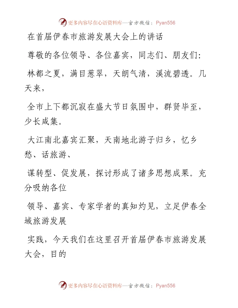 0601在首届伊春市旅游发展大会上的讲话.docx_第1页