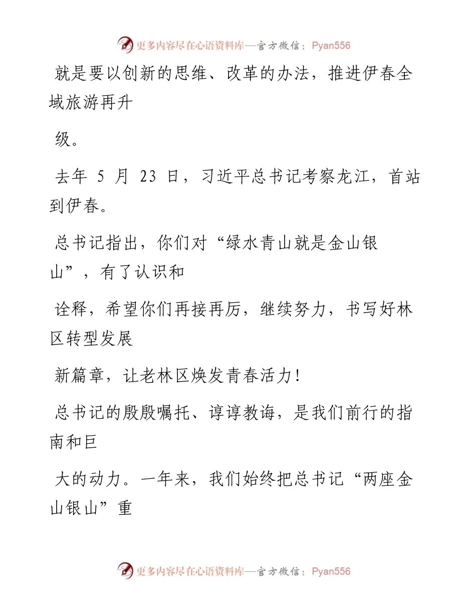 0601在首届伊春市旅游发展大会上的讲话.docx_第2页