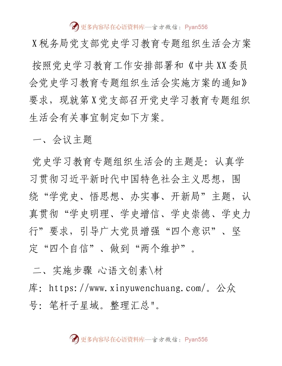 0821X税务局党支部党史学习教育专题组织生活会方案.docx_第1页