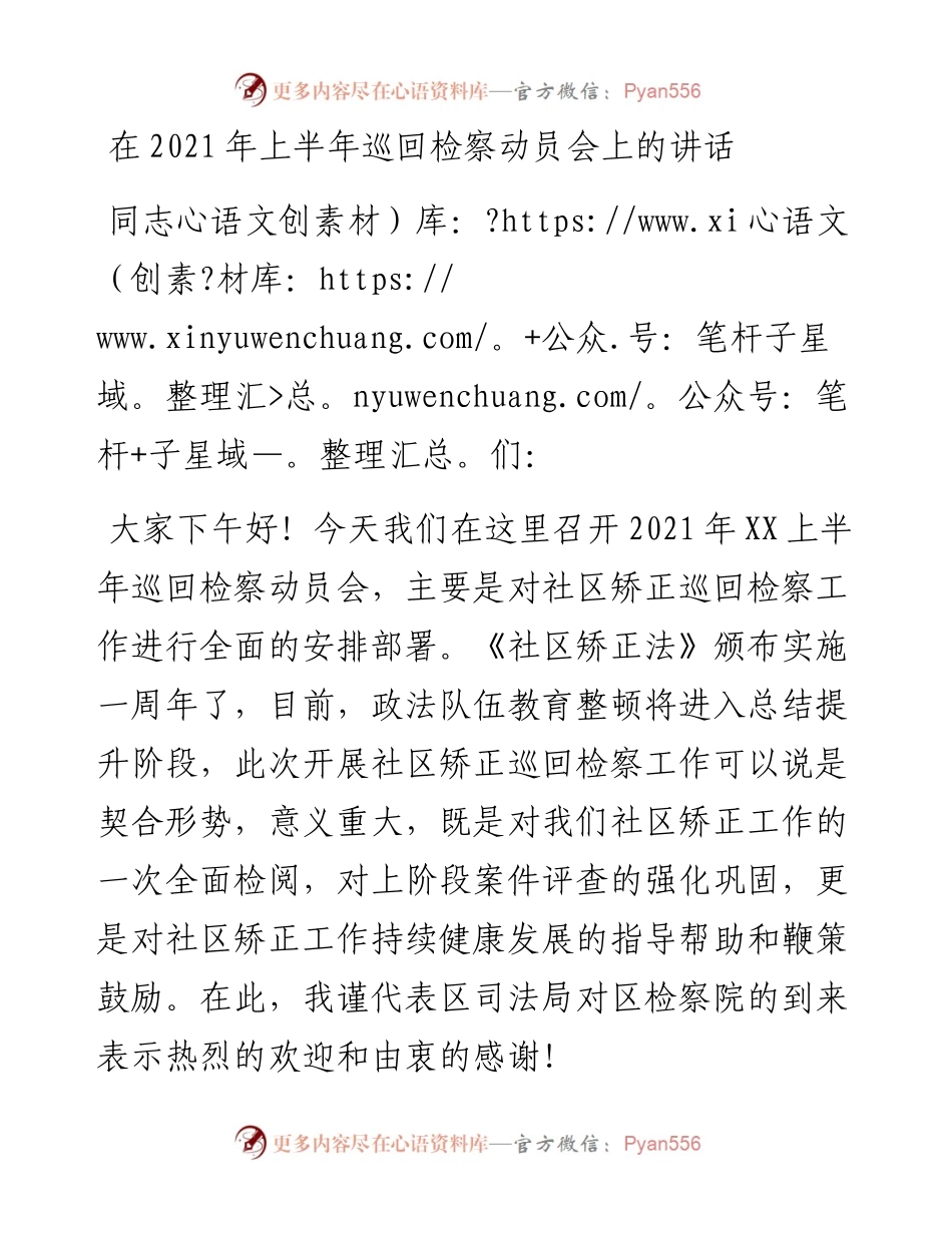 081304在XX上半年巡回检察动员会上的讲话.docx_第1页