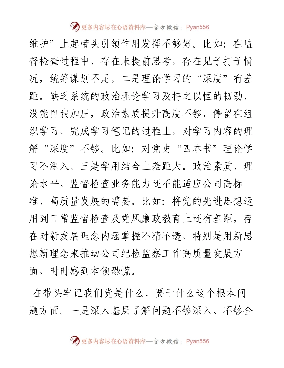 020610：国企党委纪检委员专题民主生活会个人对照检查材料（五个带头）.docx_第2页